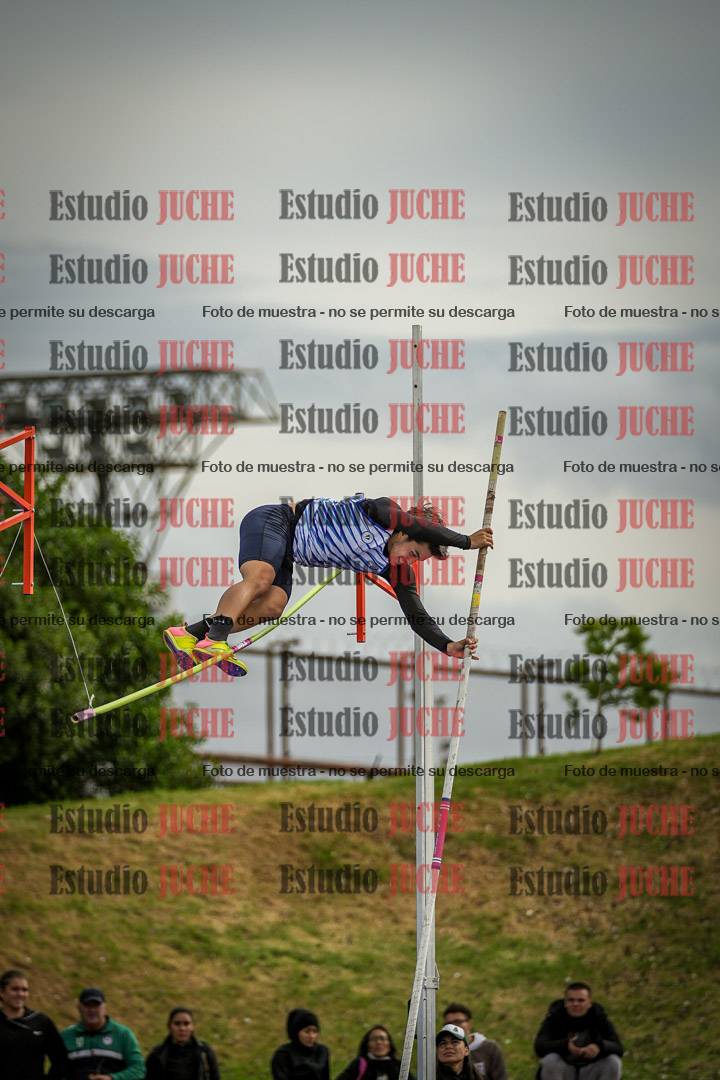 Fotos del salto con garrocha de varones