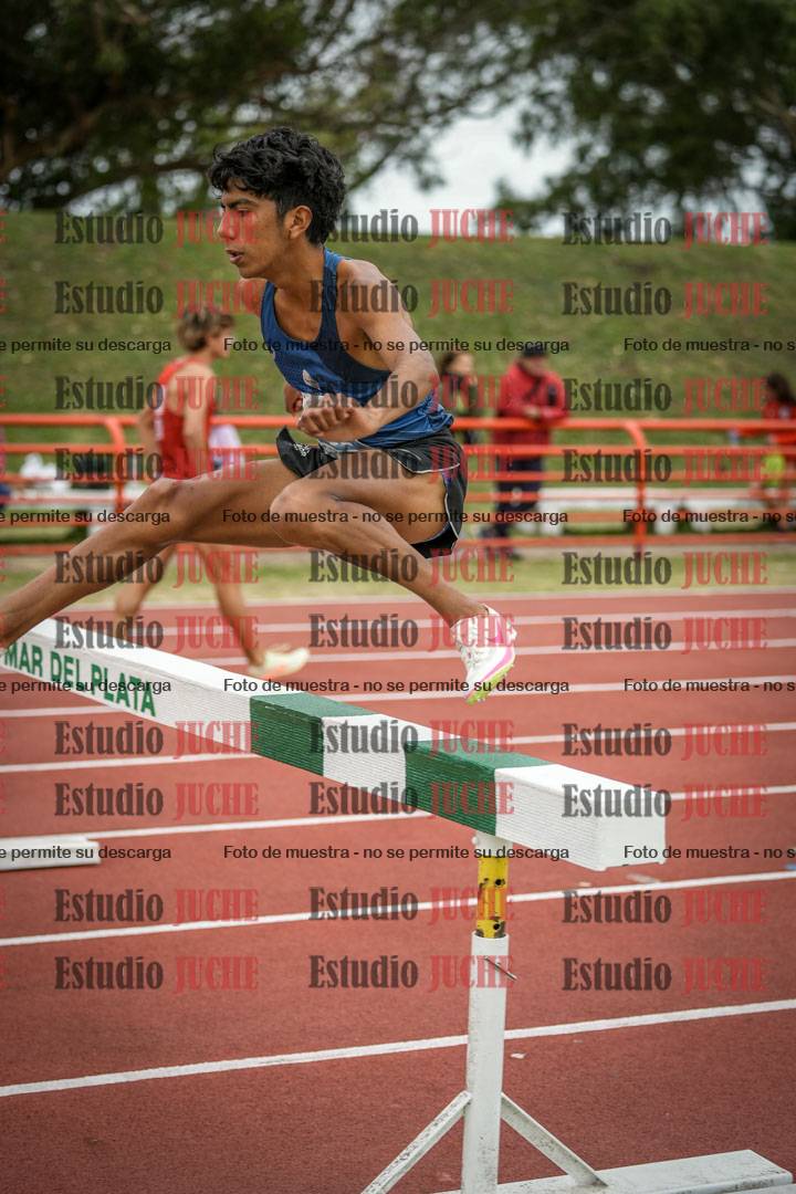 Fotos de los 3000 m con obstáculos de varones