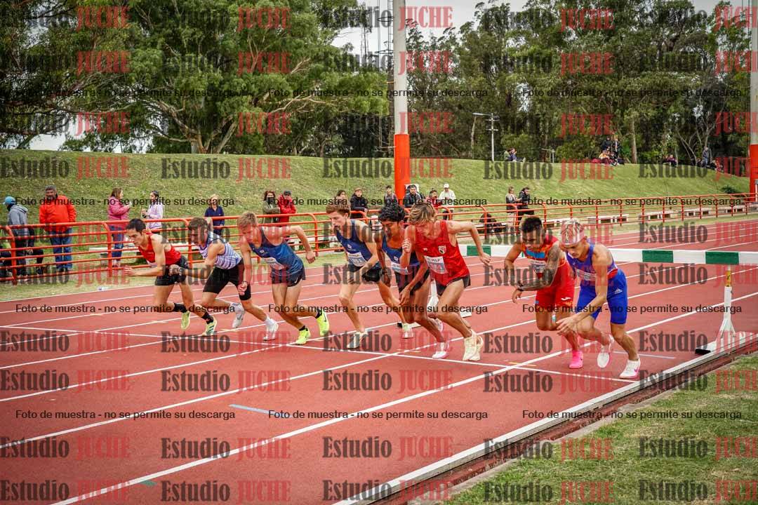 Fotos de los 3000 m con obstáculos de varones