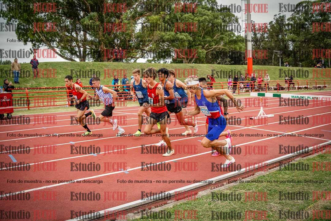 Fotos de los 3000 m con obstáculos de varones
