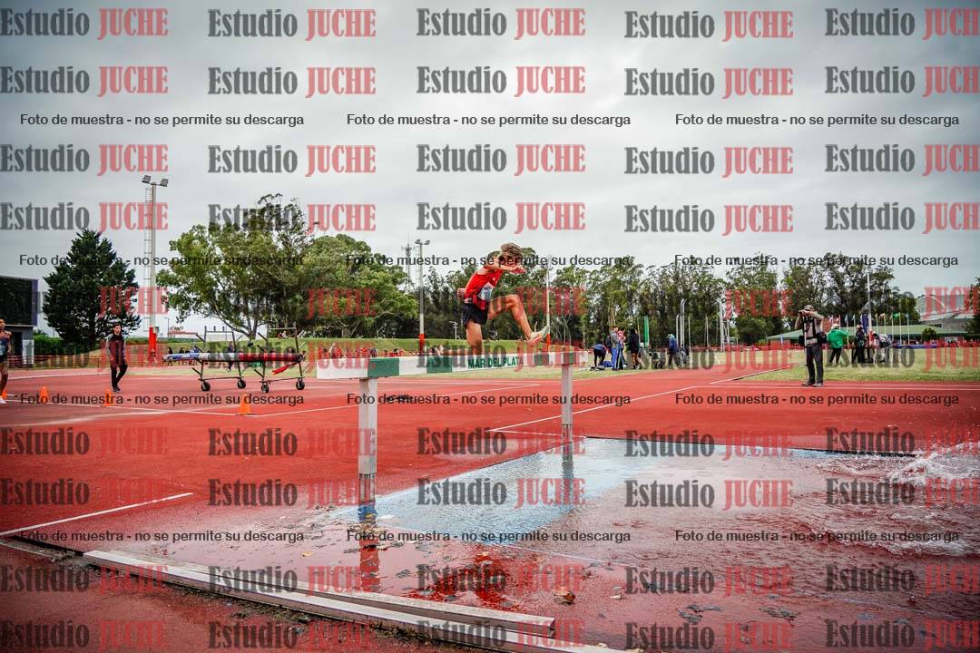 Fotos de los 3000 m con obstáculos de varones