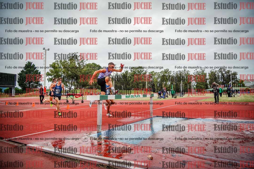 Fotos de los 3000 m con obstáculos de varones