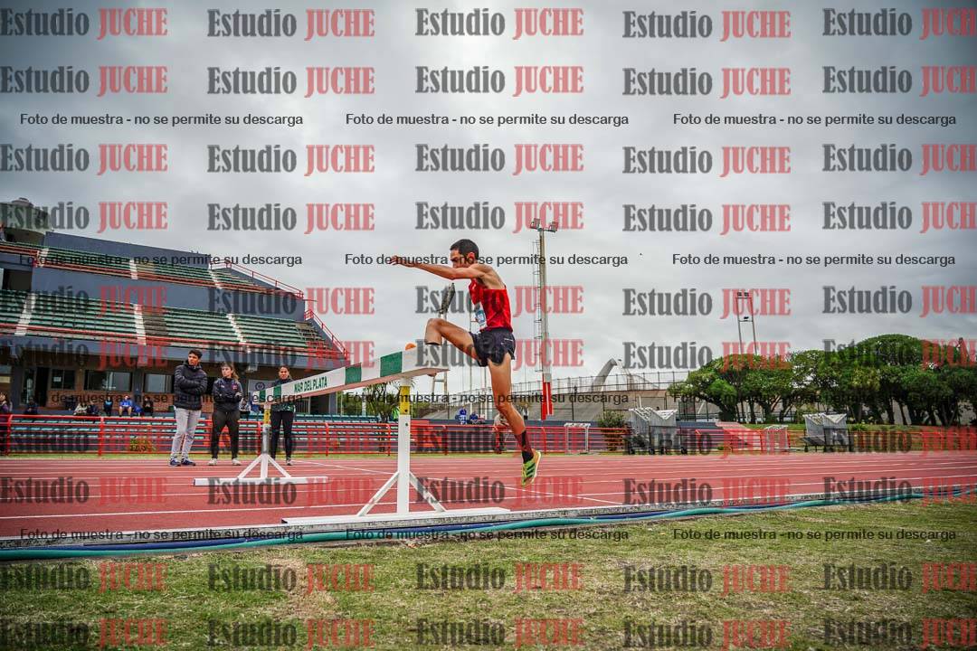 Fotos de los 3000 m con obstáculos de varones