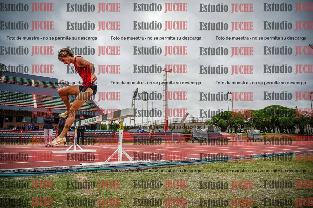Fotos de los 3000 m con obstáculos de varones