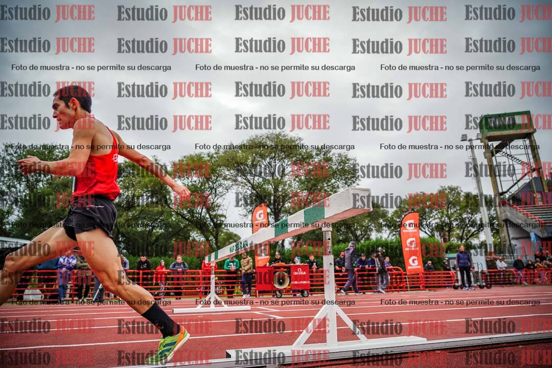 Fotos de los 3000 m con obstáculos de varones