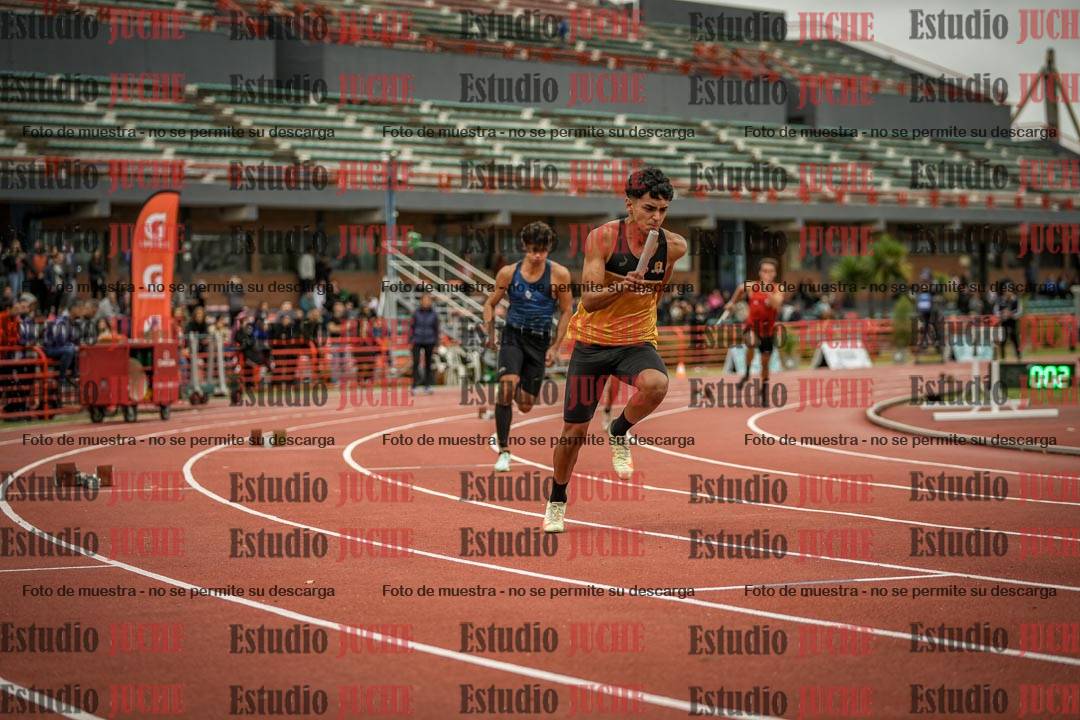 Fotos de las postas 4x100 m de varones