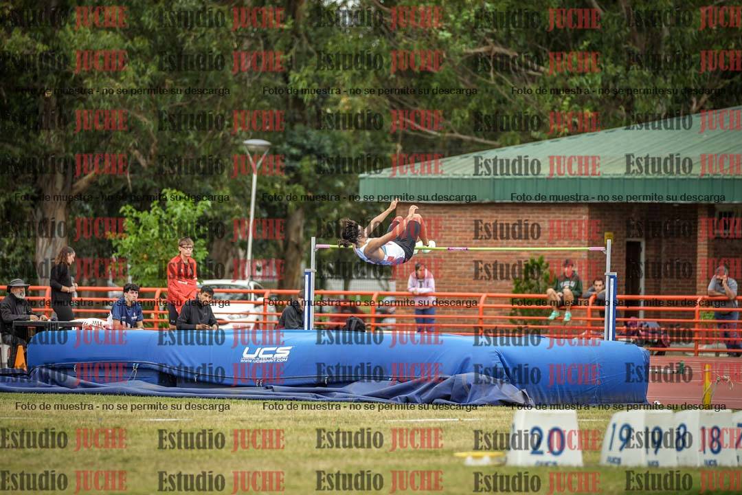 Fotos del salto en alto de varones