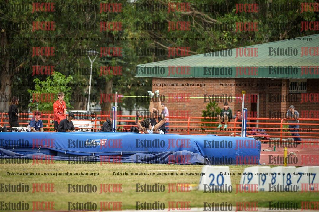 Fotos del salto en alto de varones