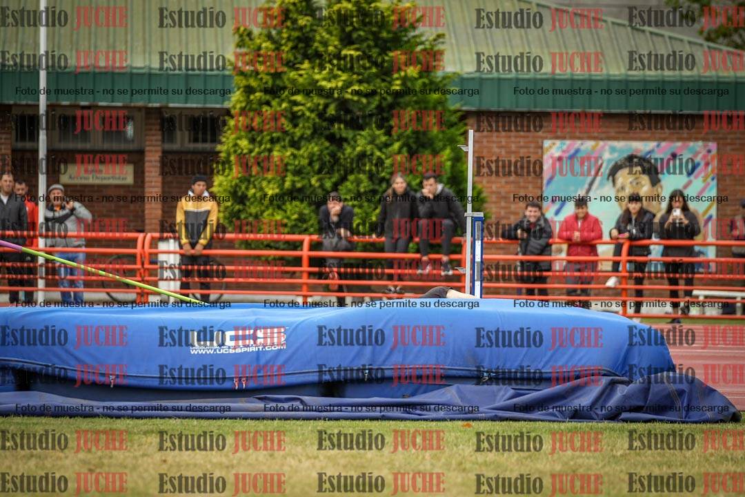 Fotos del salto en alto de varones