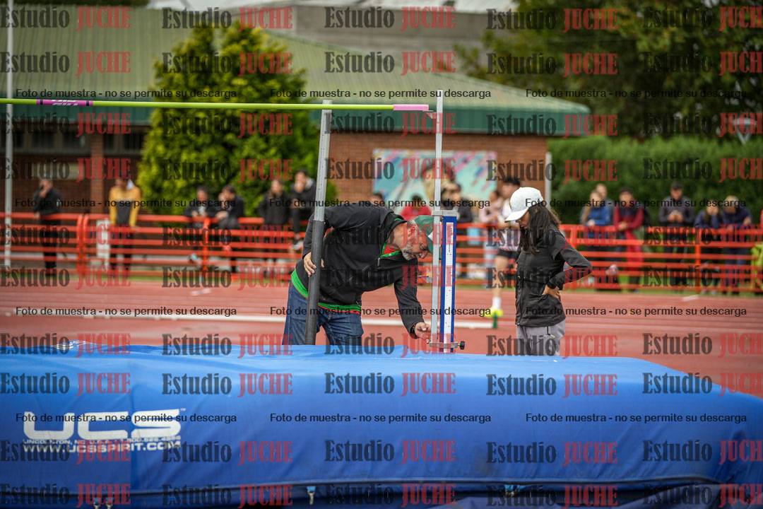 Fotos del salto en alto de varones