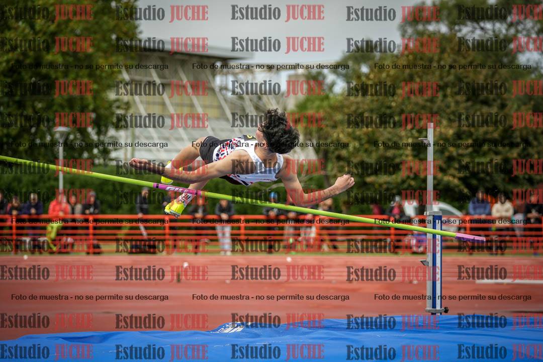 Fotos del salto en alto de varones
