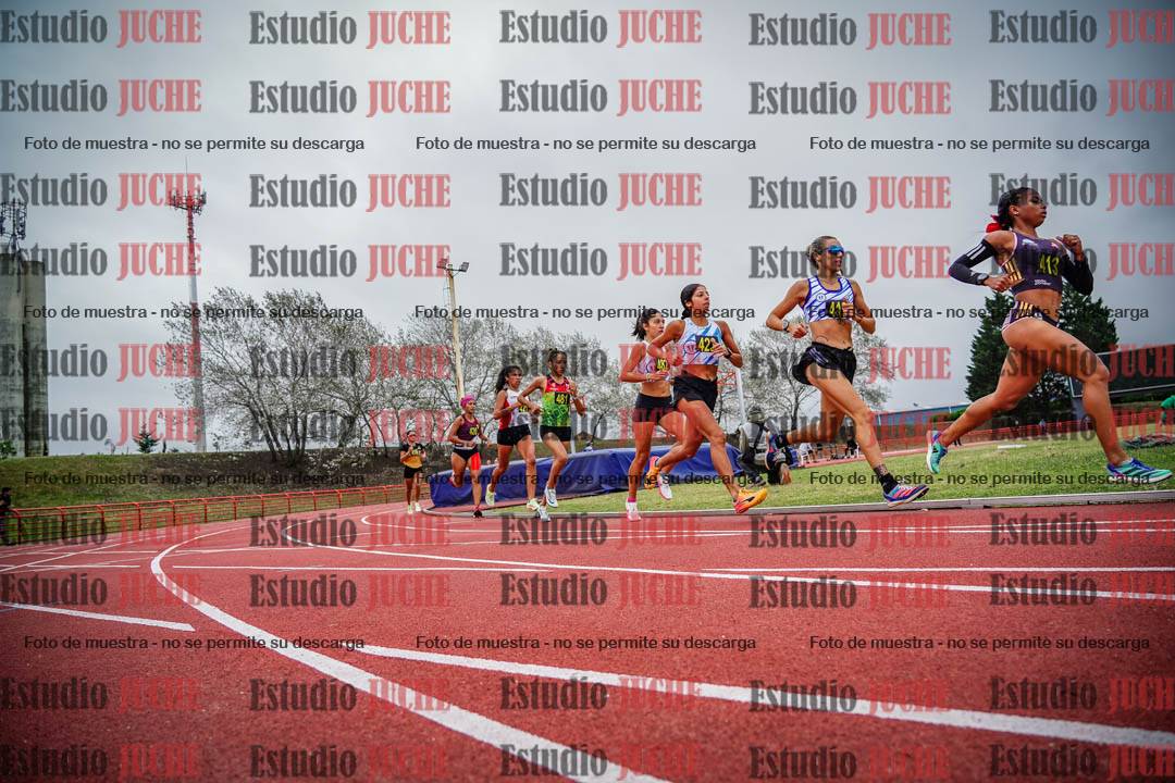 Fotos de los 5000 m llanos de mujeres
