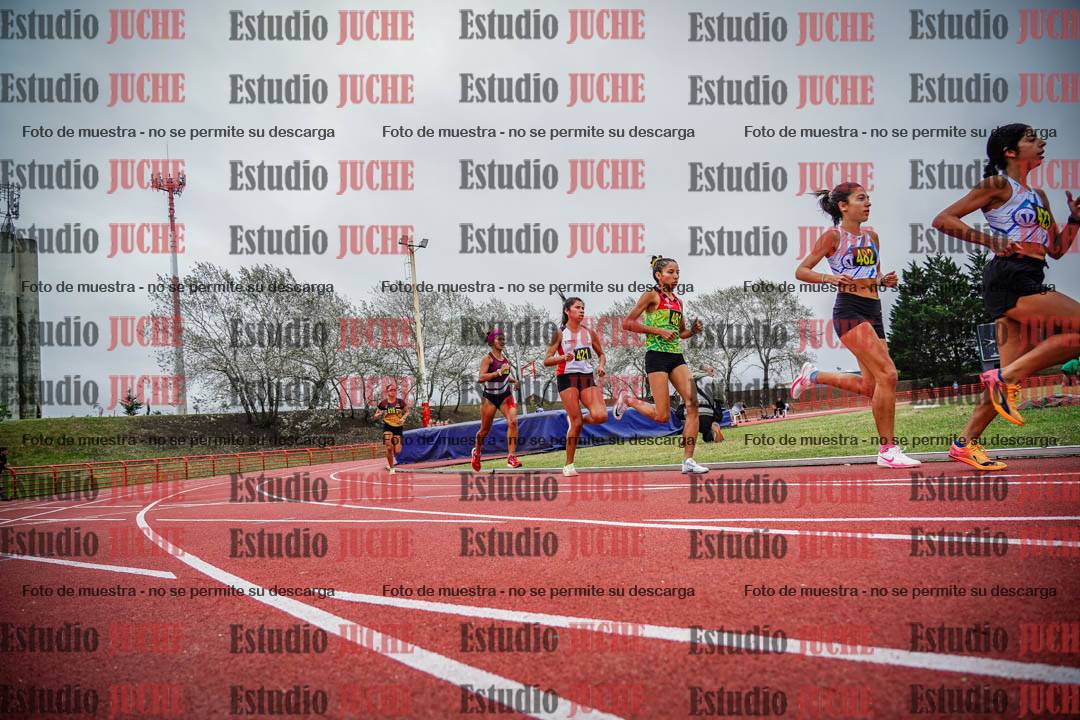Fotos de los 5000 m llanos de mujeres