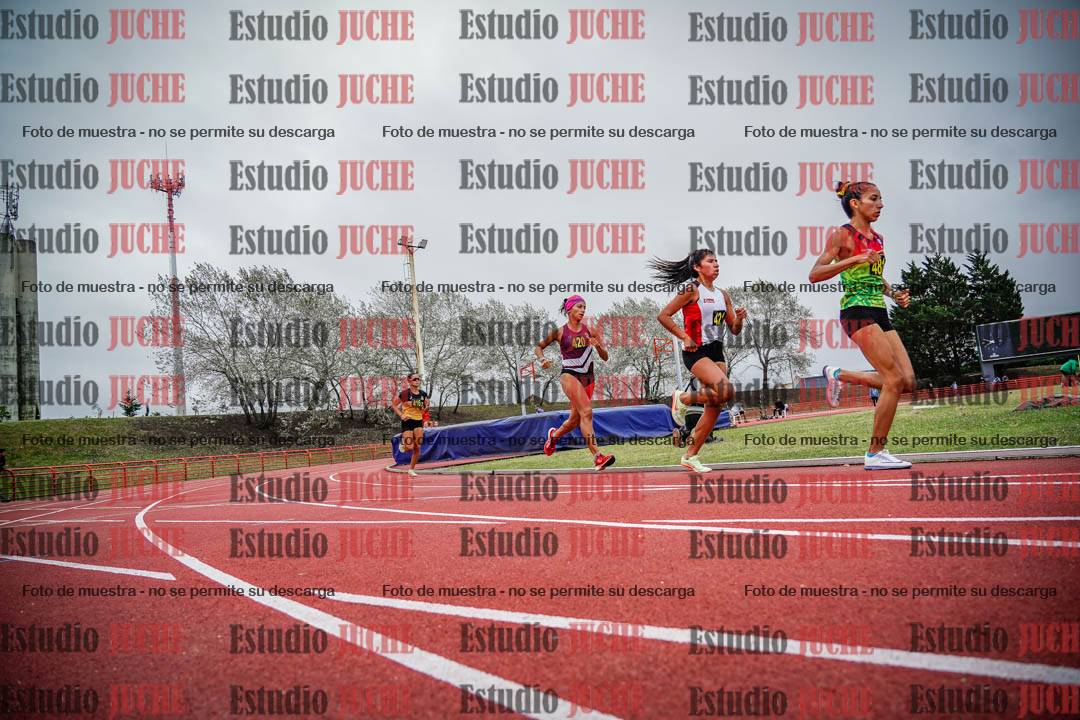 Fotos de los 5000 m llanos de mujeres