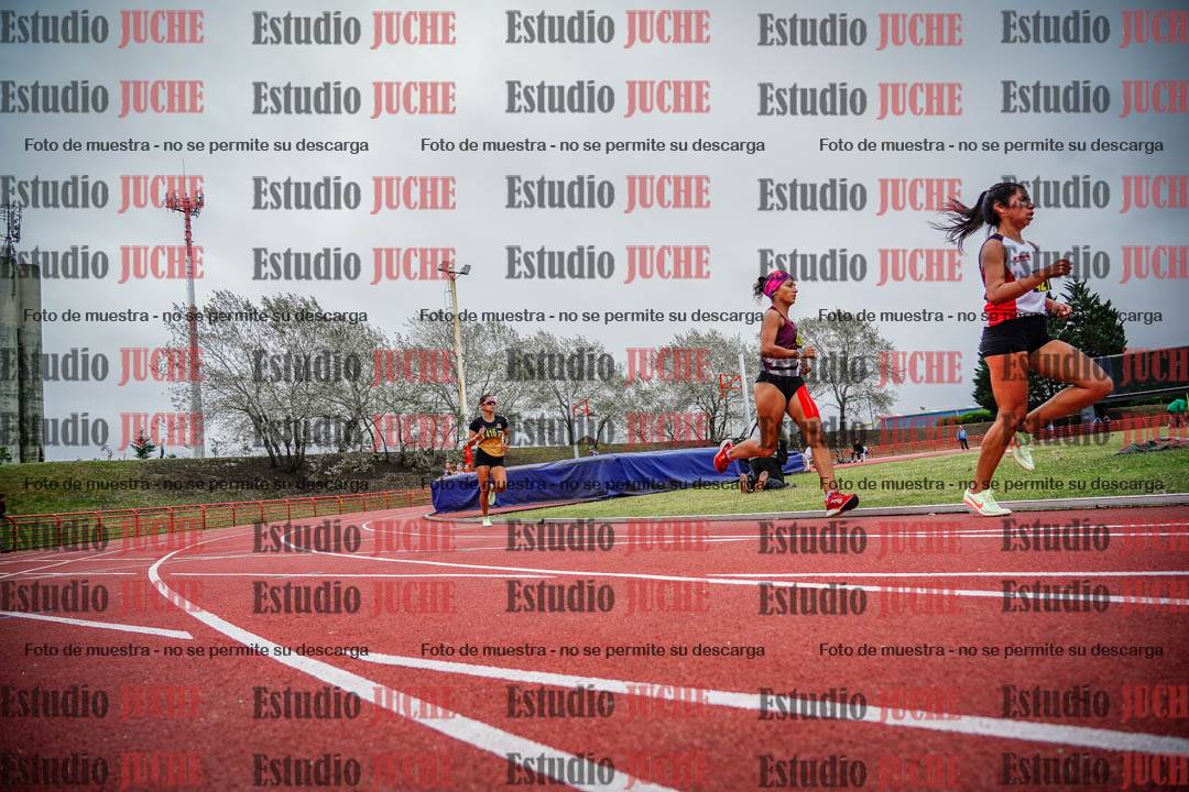 Fotos de los 5000 m llanos de mujeres