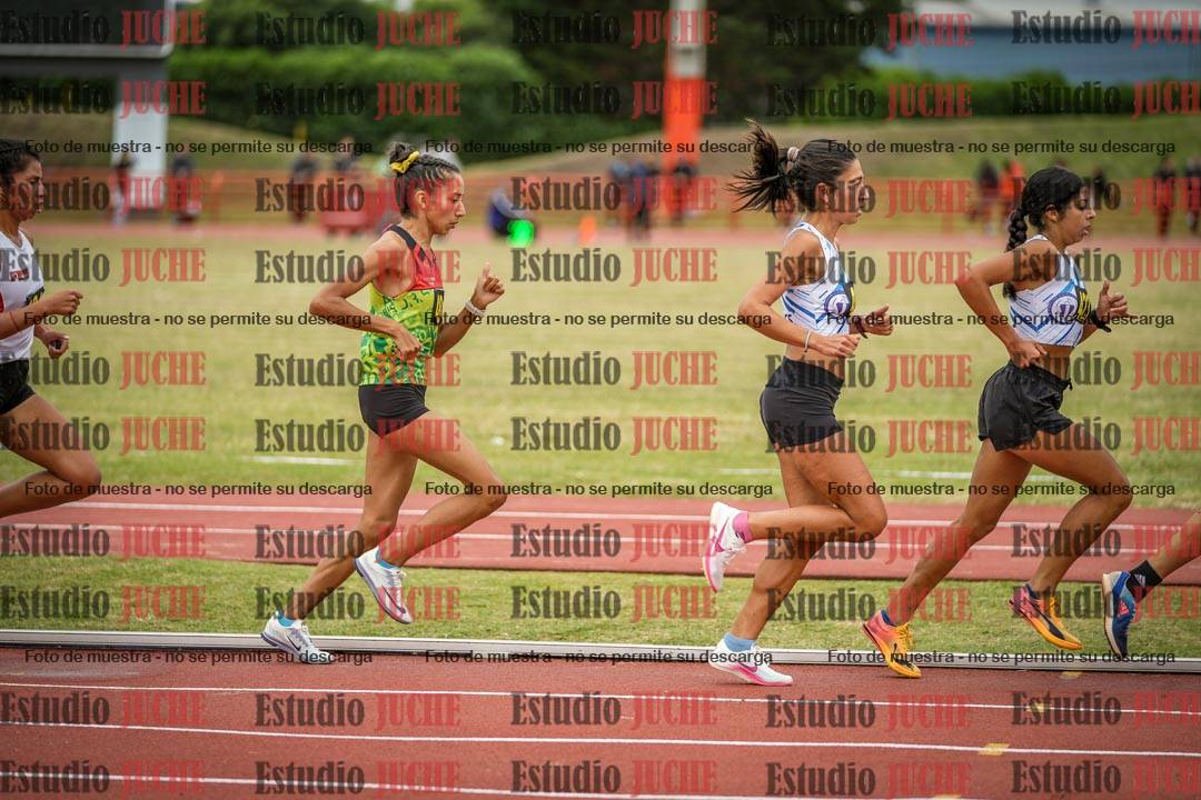 Fotos de los 5000 m llanos de mujeres