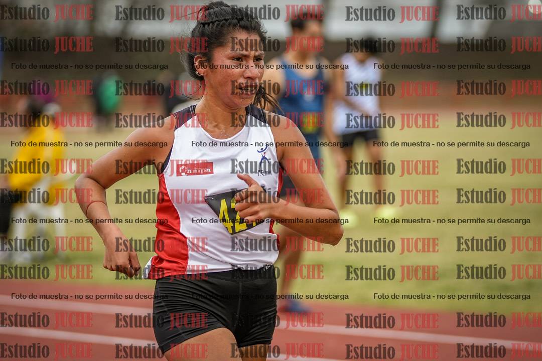Fotos de los 5000 m llanos de mujeres