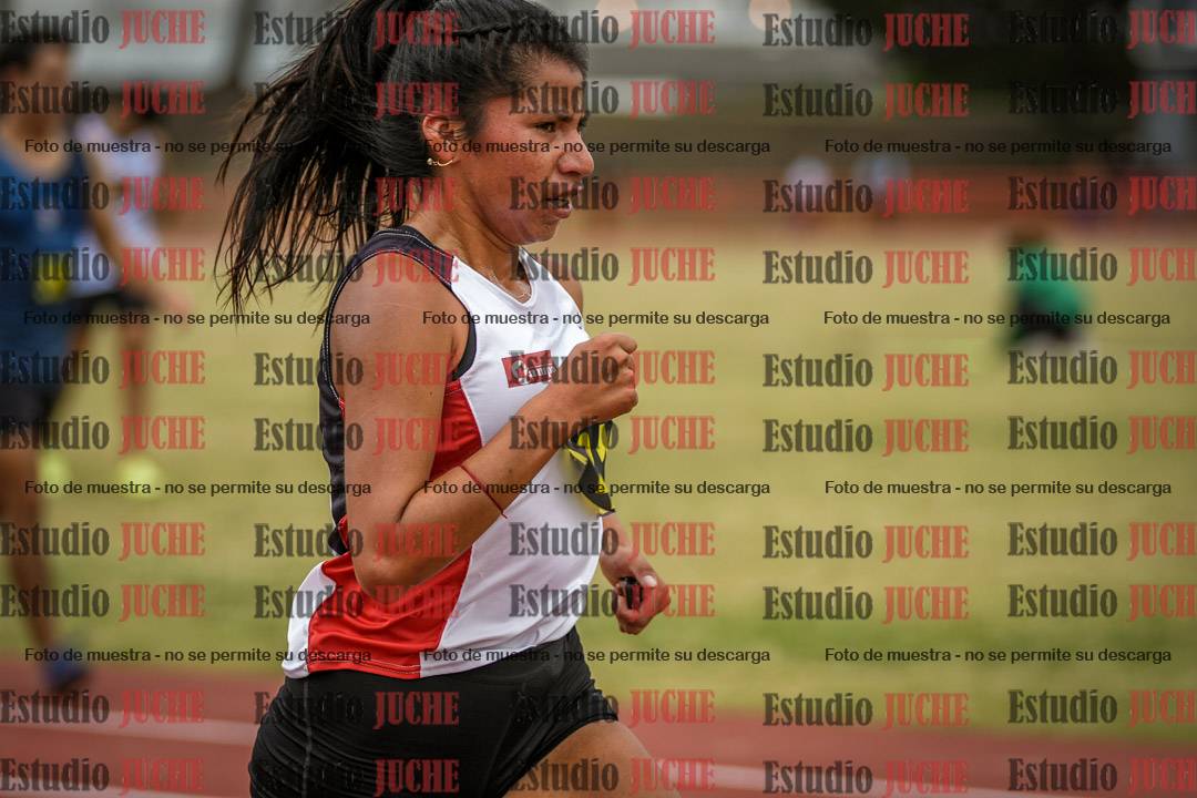 Fotos de los 5000 m llanos de mujeres