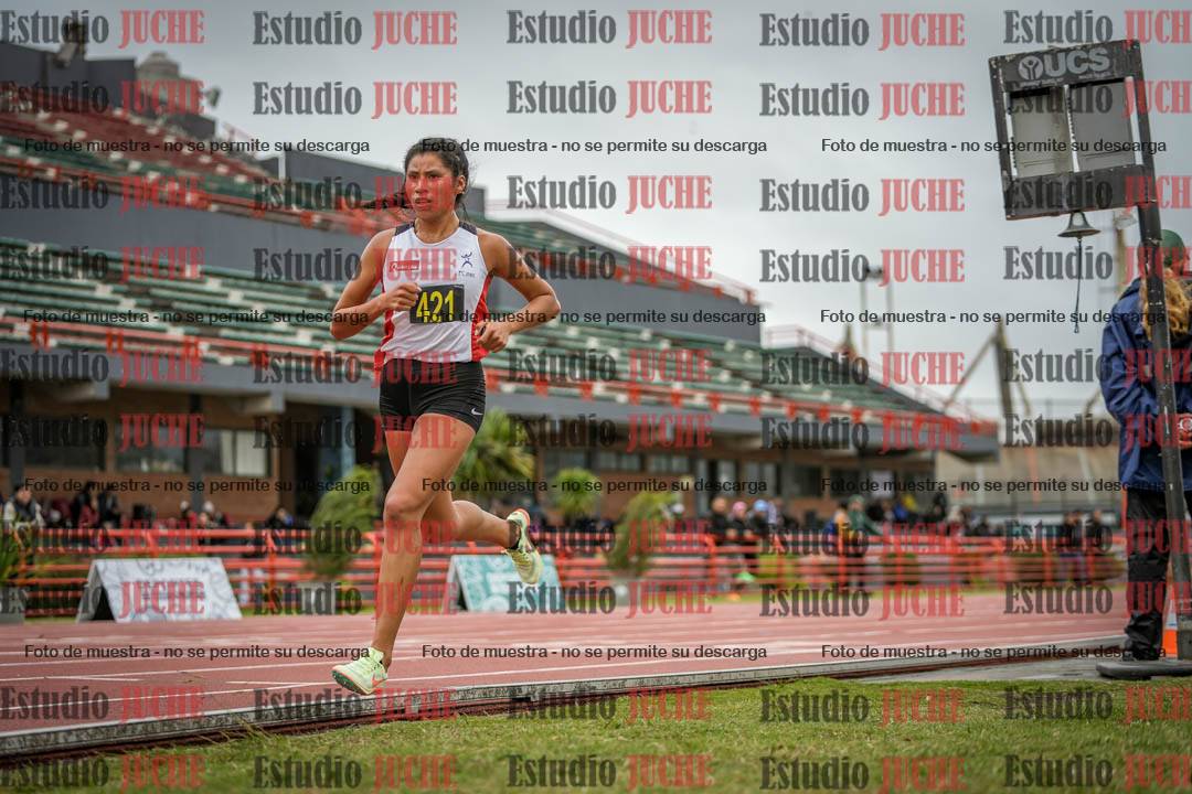 Fotos de los 5000 m llanos de mujeres