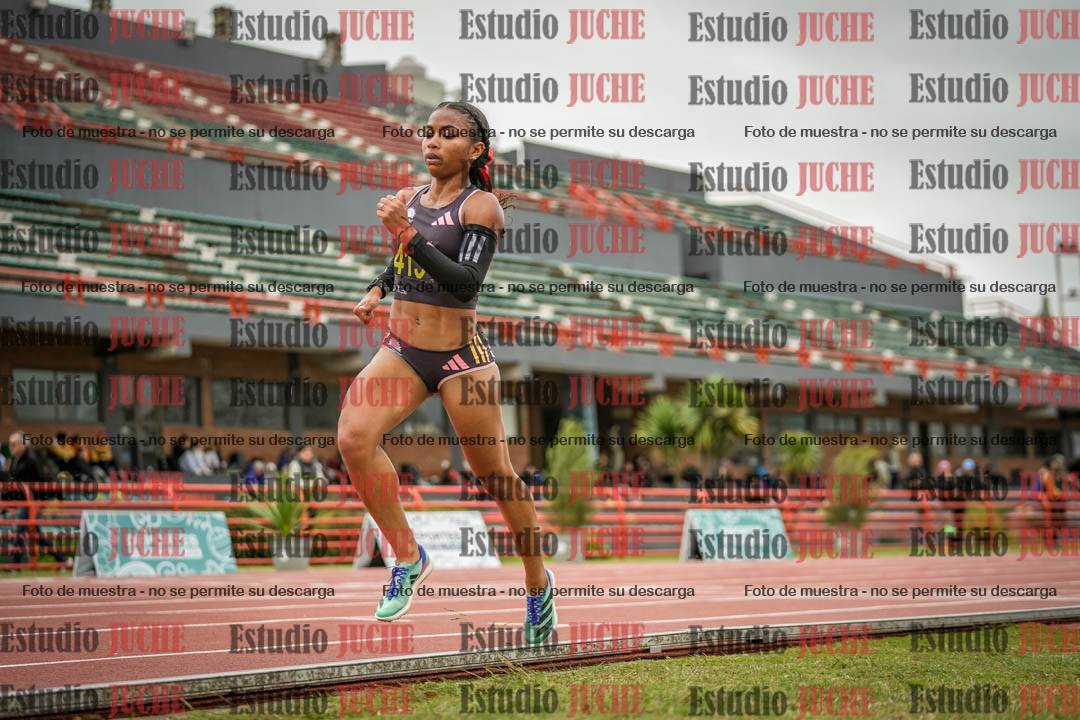 Fotos de los 5000 m llanos de mujeres