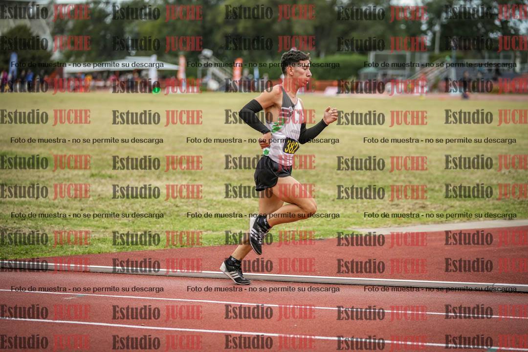 Fotos de los 5000 m llanos de varones