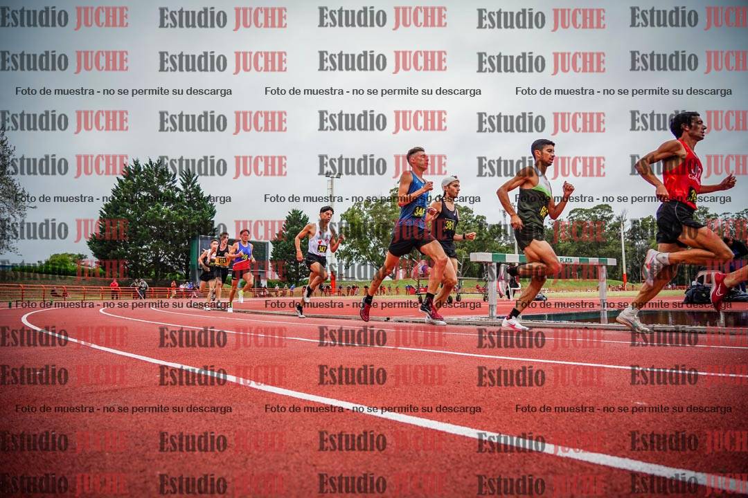 Fotos de los 5000 m llanos de varones