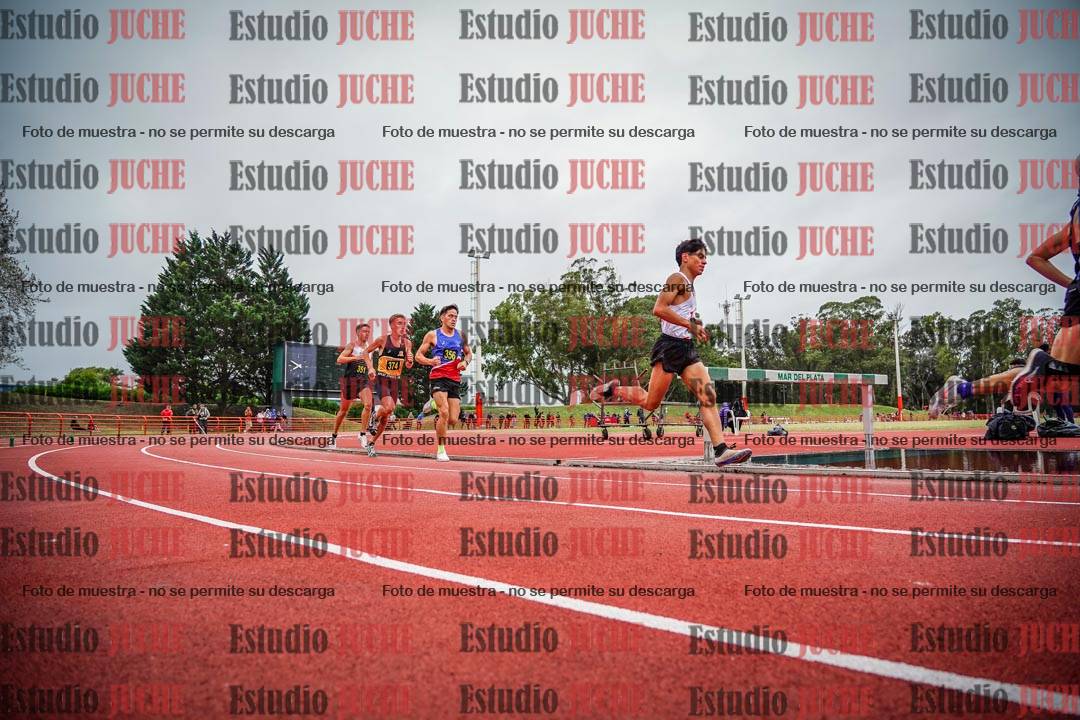 Fotos de los 5000 m llanos de varones