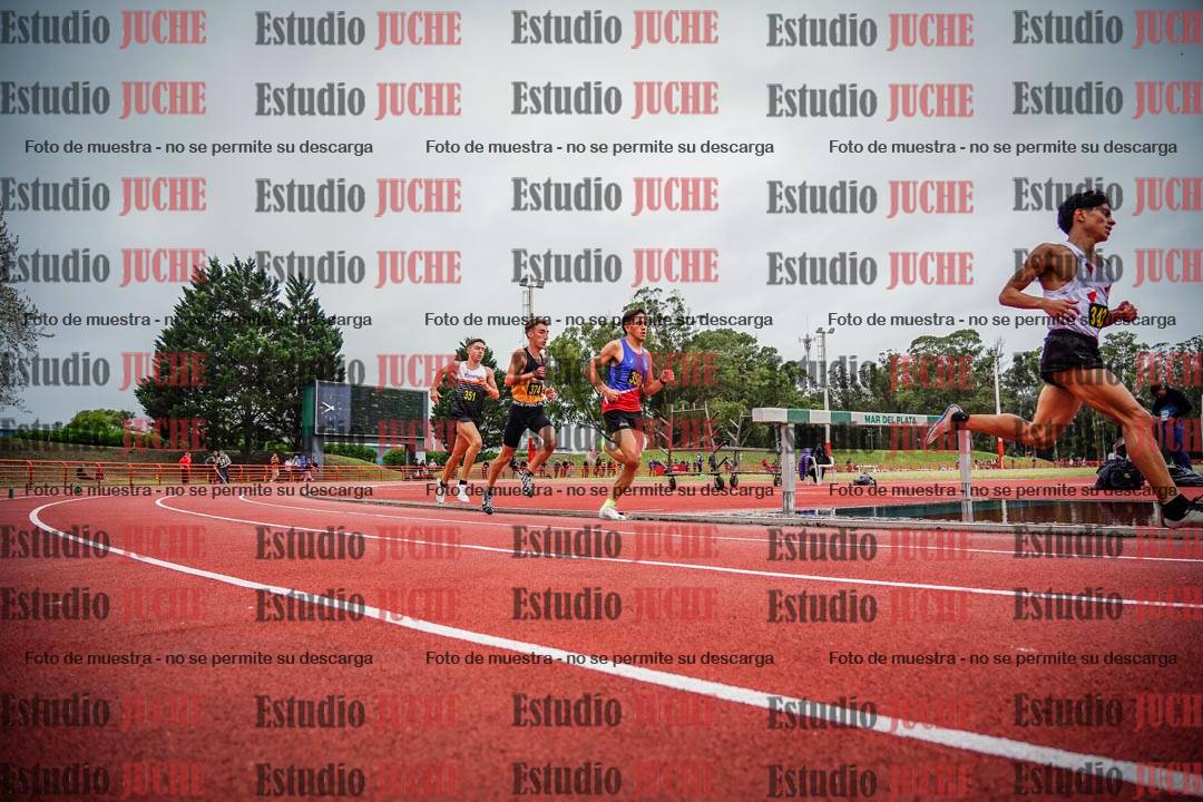 Fotos de los 5000 m llanos de varones