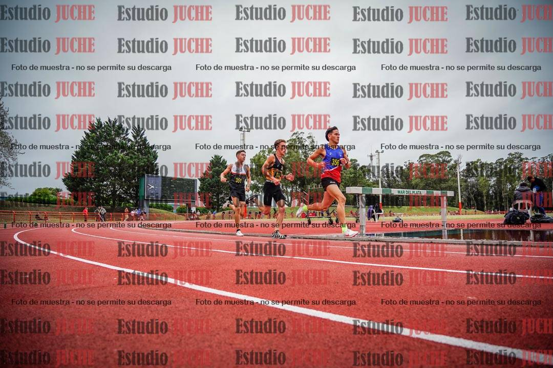 Fotos de los 5000 m llanos de varones
