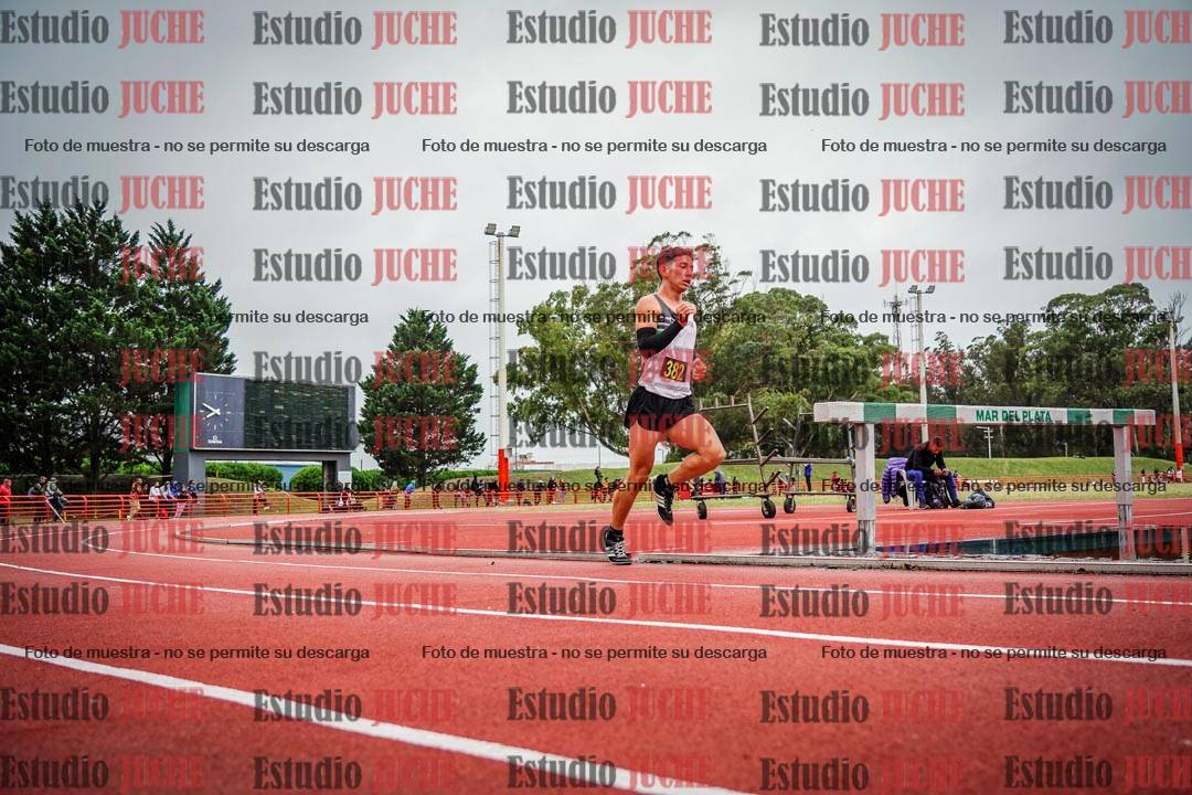 Fotos de los 5000 m llanos de varones