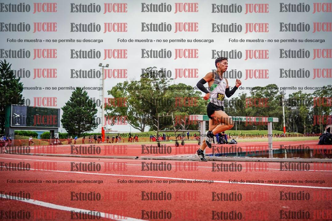 Fotos de los 5000 m llanos de varones