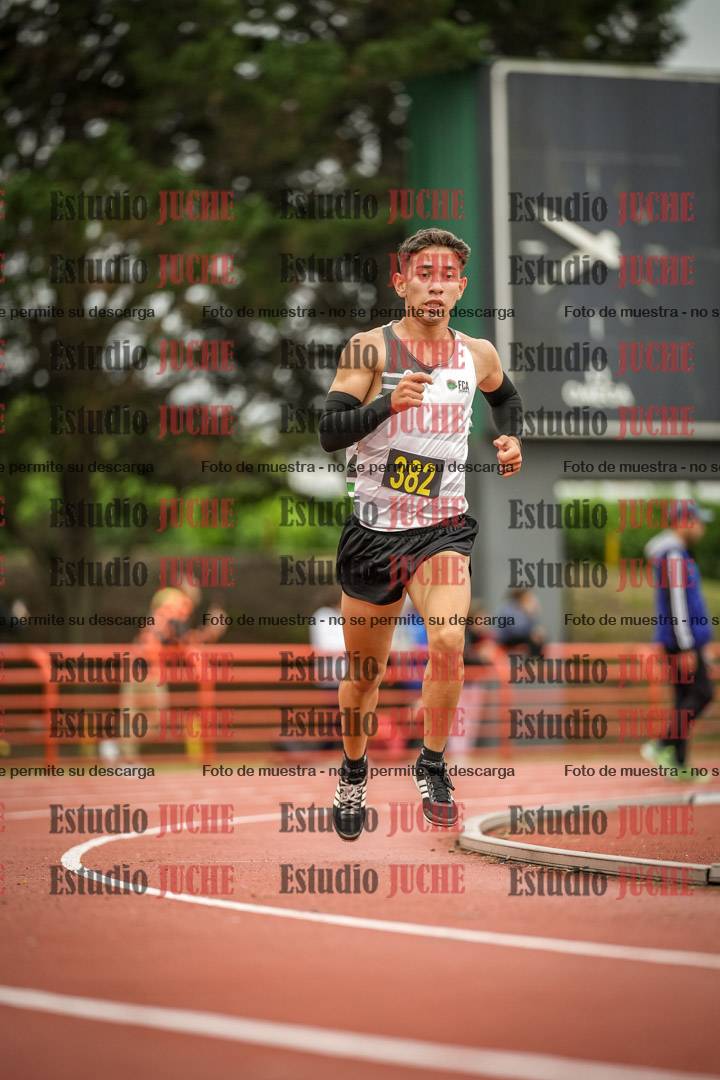 Fotos de los 5000 m llanos de varones