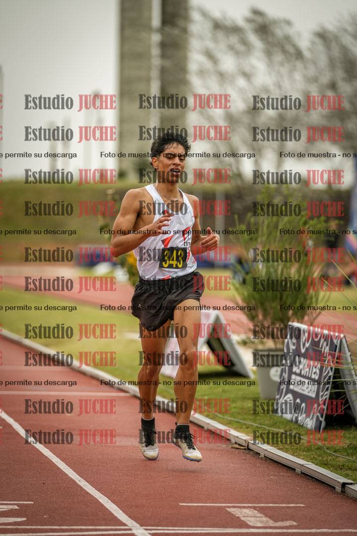 Fotos de los 5000 m llanos de varones