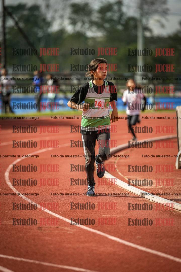 Fotos de los 1000 m llanos de mujeres