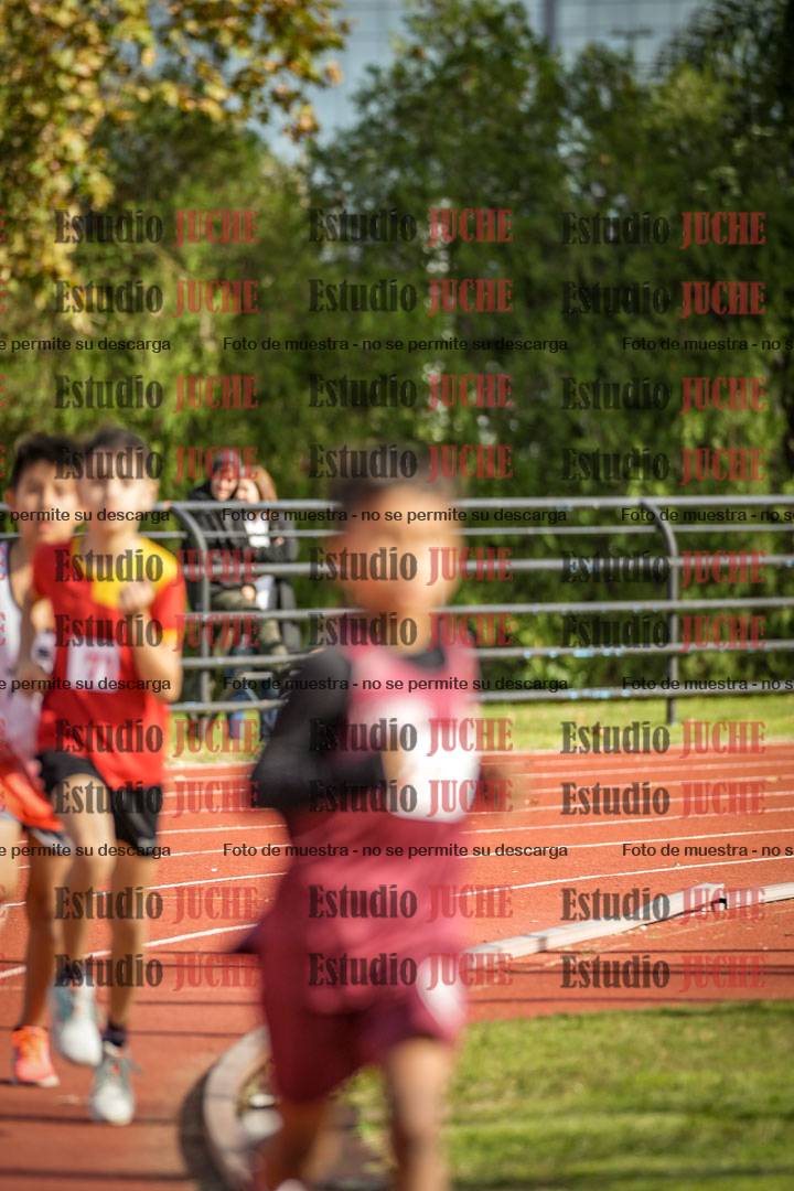 Fotos de los 1000 m llanos de varones