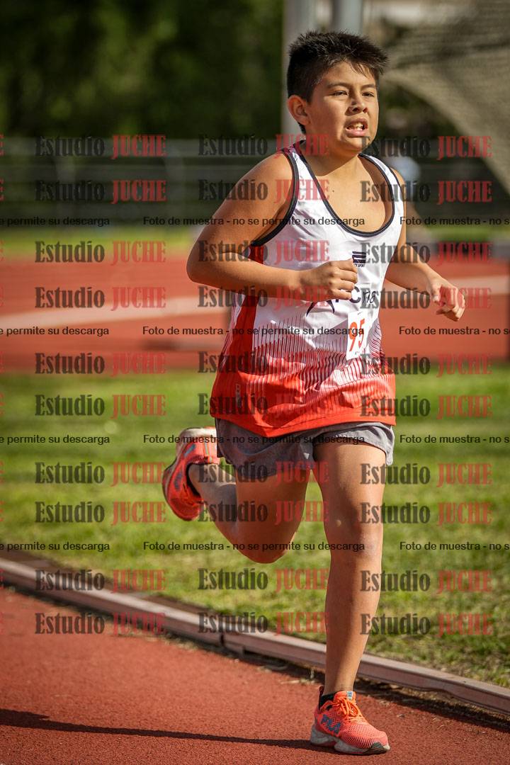 Fotos de los 1000 m llanos de varones