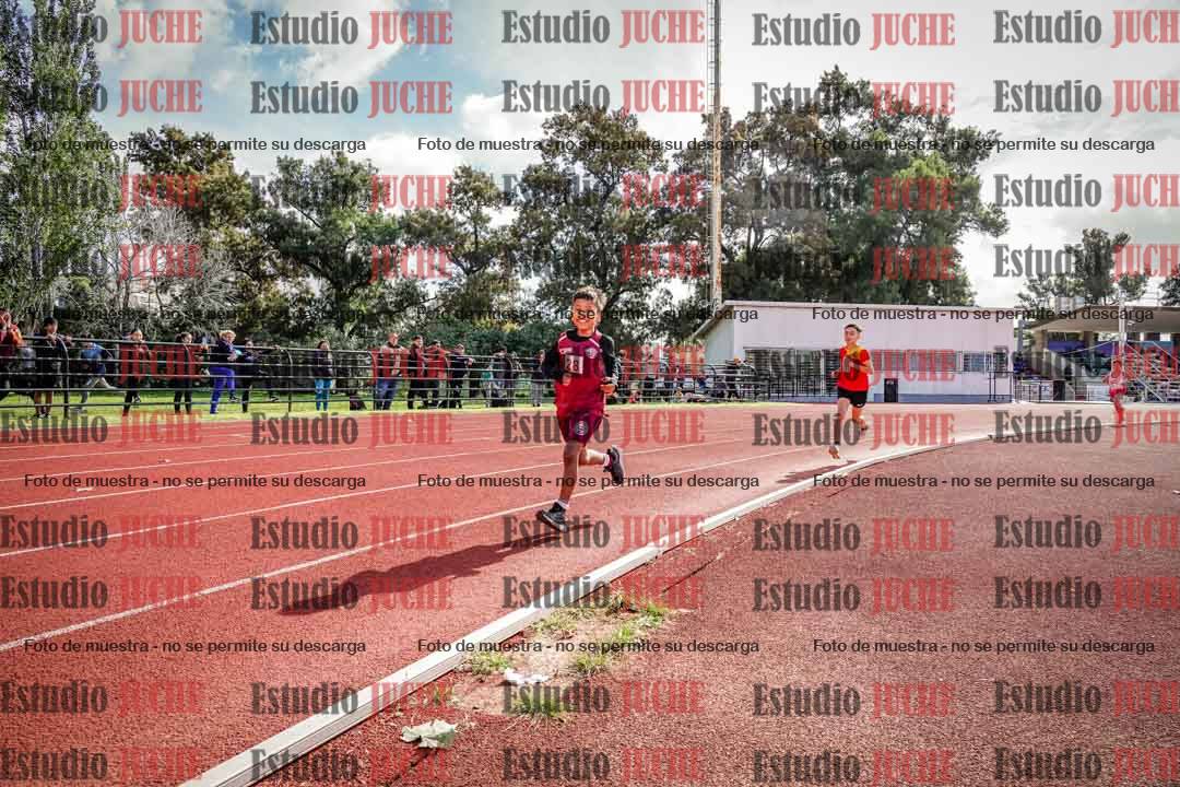 Fotos de los 1000 m llanos de varones