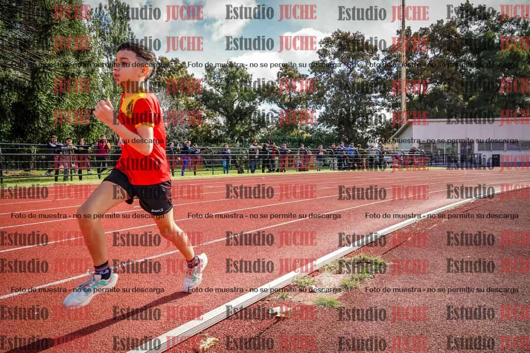Fotos de los 1000 m llanos de varones