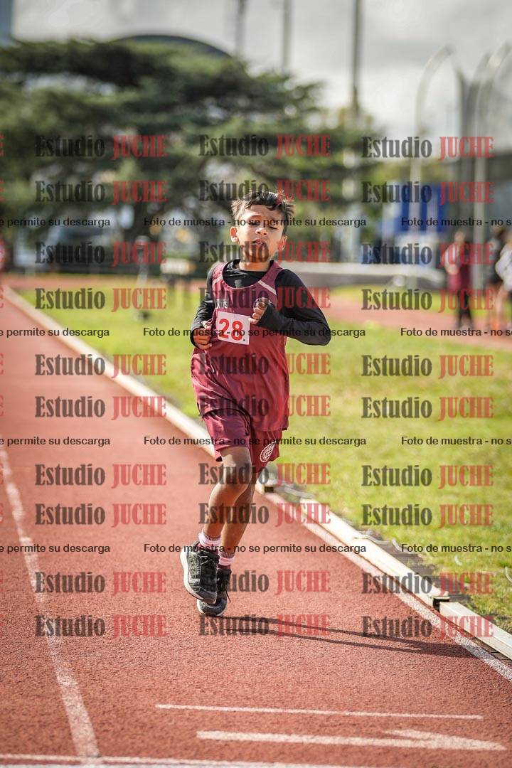 Fotos de los 1000 m llanos de varones