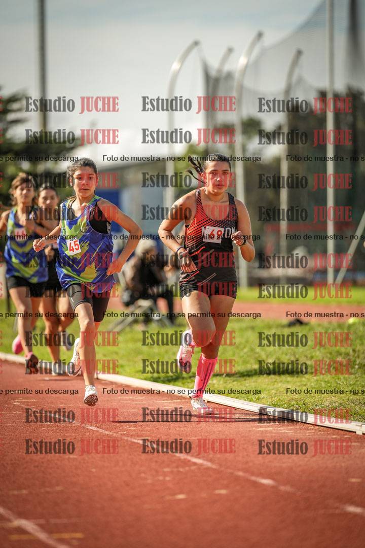 Fotos de los 600 m llanos de mujeres