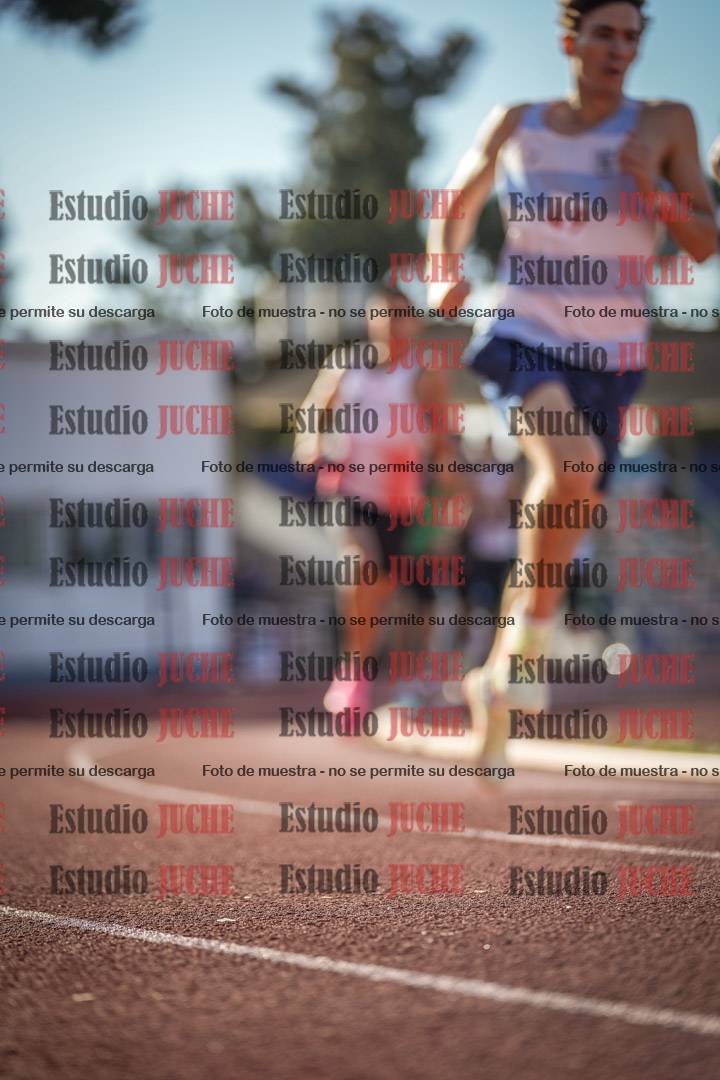 Fotos de los 3000 m llanos de varones