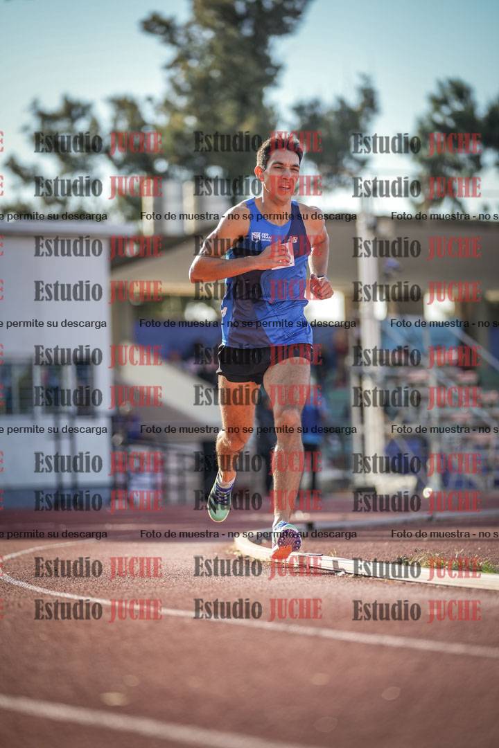 Fotos de los 3000 m llanos de varones