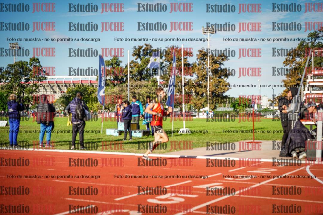 Fotos de los 3000 m llanos de varones