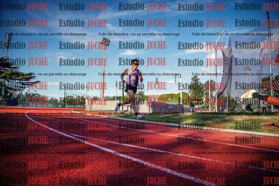 Fotos de los 3000 m llanos de varones
