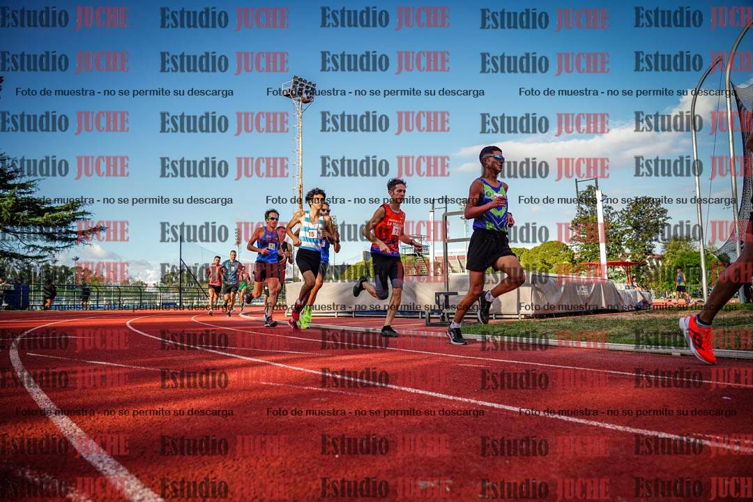 Fotos de los 3000 m llanos de varones