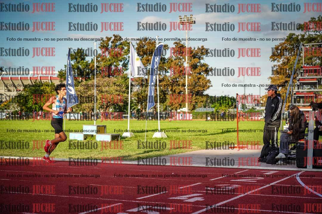 Fotos de los 3000 m llanos de varones