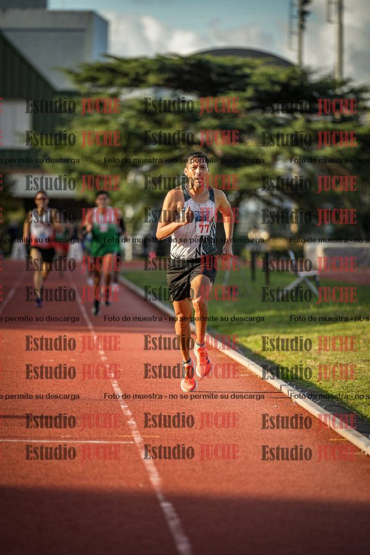 Fotos de los 3000 m llanos de varones