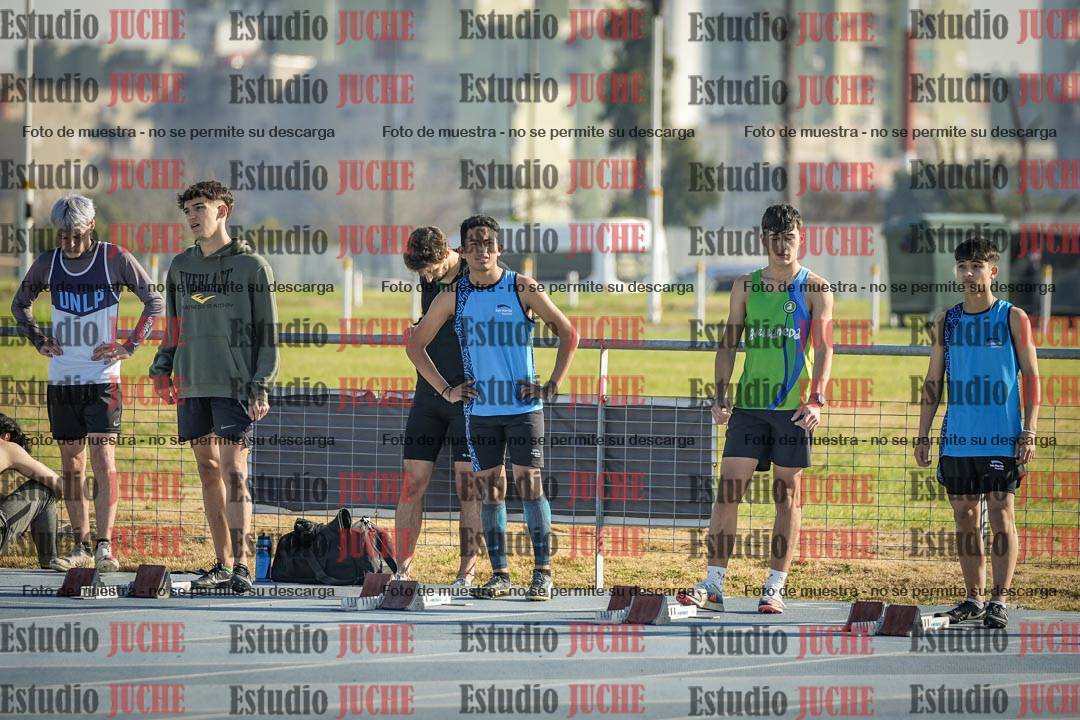 Fotos de los 110 m con vallas de varones