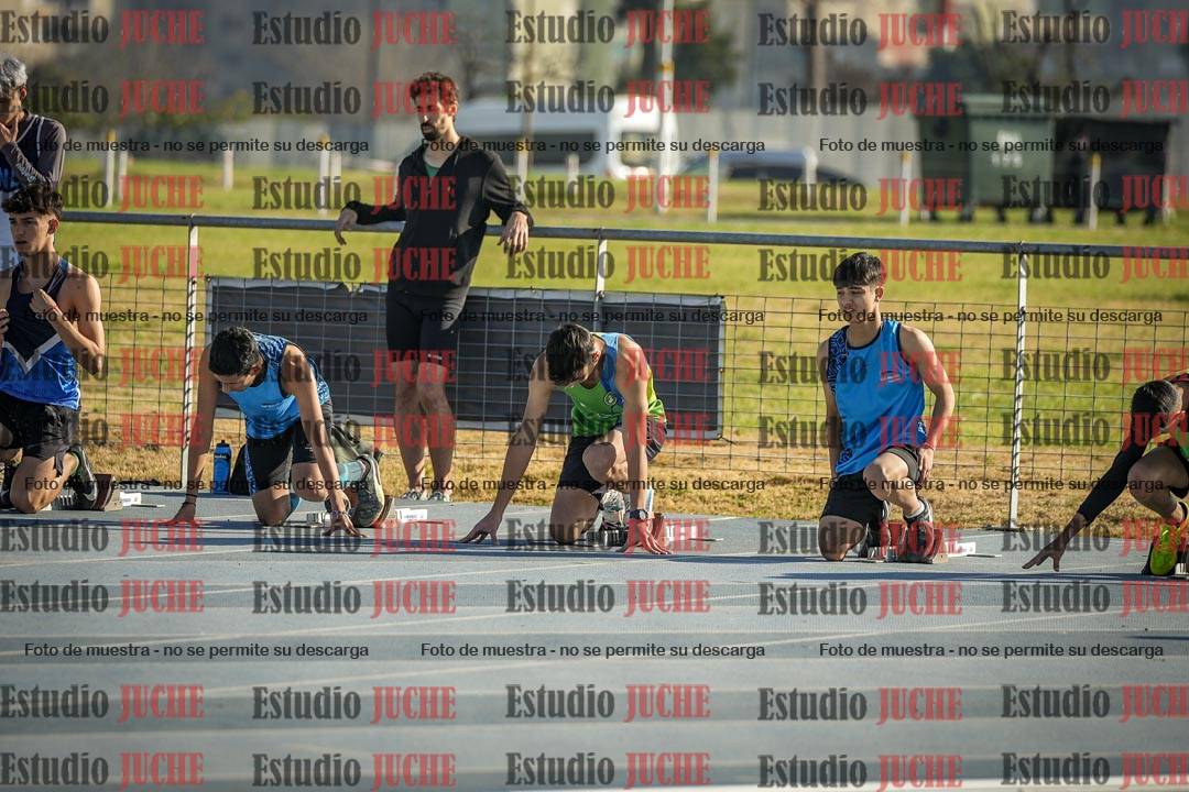 Fotos de los 110 m con vallas de varones