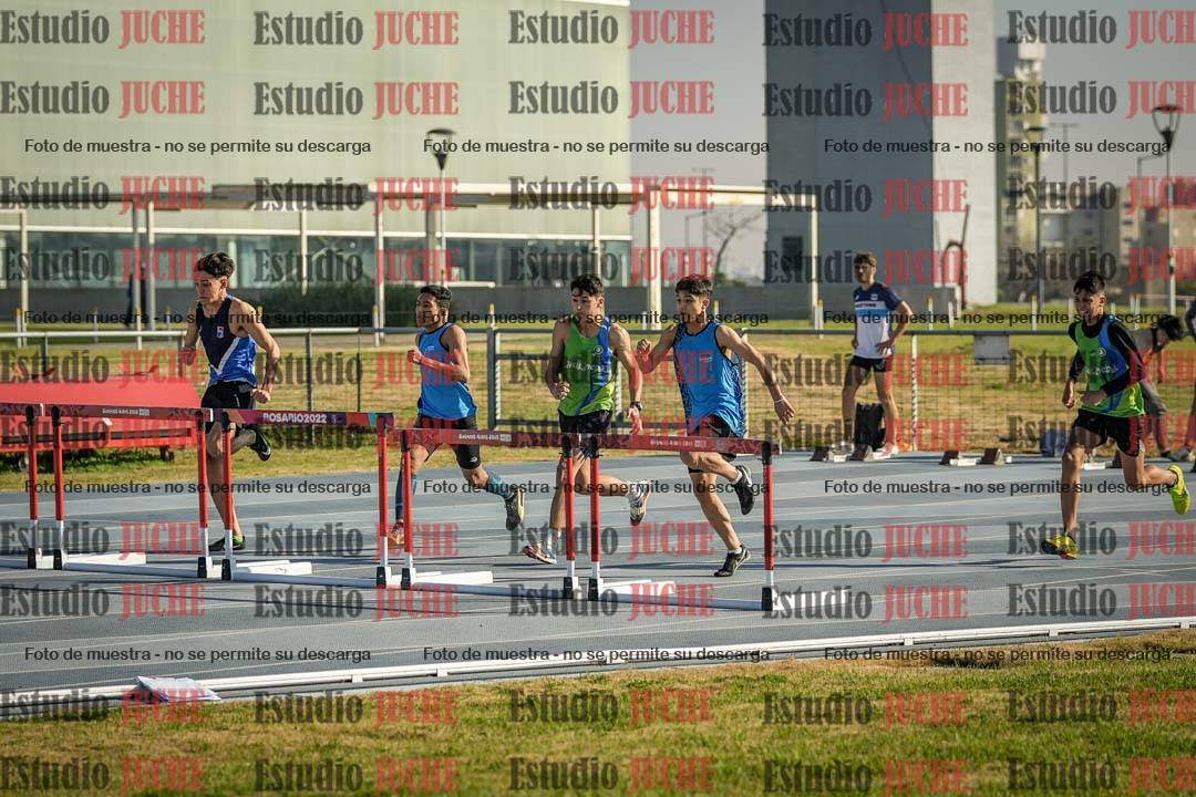 Fotos de los 110 m con vallas de varones